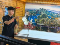 -燕塞湖鸟语林景区