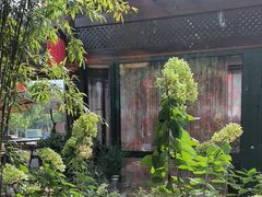 -慢丽江·云南野生菌土鸡锅(付家庄店)
