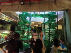 -恐龙探索乐园(磁器口店)