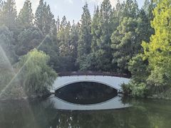 -东平国家森林公园