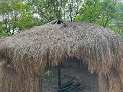 -河姆渡遗址博物馆