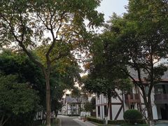 -太阳岛度假酒店