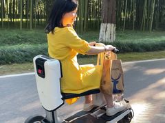 -黄海国家森林公园