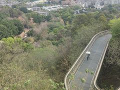 -福道