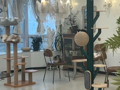 -共舞时光猫咖·狗咖(新街口店)