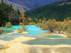 -黄龙山原始森林景区