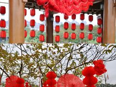 -广西壮族自治区药用植物园