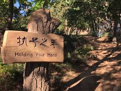 -燕窝岭