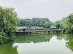 -鄱阳湖国家湿地公园