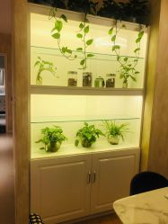 -诗媛嘉美健康管理中心(金桥店)