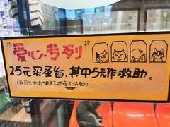 -猫咪博物馆(顶澳仔猫街店)