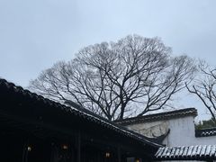 -留园