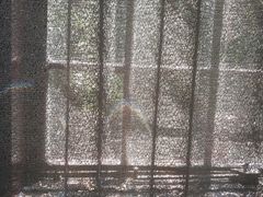 -上海动物园(地铁站)