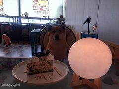 -柴源莊·柴小宠柴犬咖啡