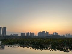 -月湖风景区