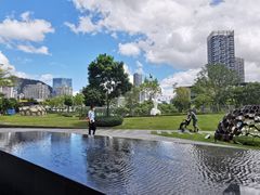 -SAANCI山池咖啡(海上世界文化艺术中心店)