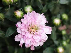 -共青国家森林公园-售票处