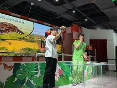 -上海大自然野生昆虫馆(东方明珠·爬宠昆虫探索中心)
