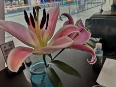 -甜心航空主题餐厅(清远万达广场店)