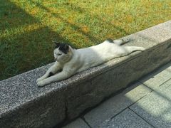 -陆家嘴世纪金融广场