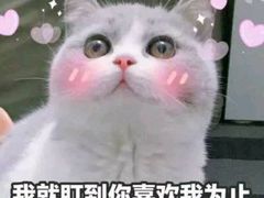 -达美乐比萨(水晶港店)