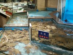 水产区-龙宴海鲜城(经中路店)