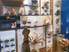 -青岛海底世界-水族馆