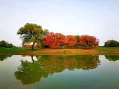 -北京京辉高尔夫俱乐部有限公司