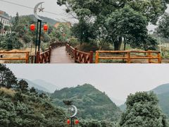 -小洞天柴火土菜馆