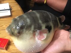 -永安鱼庄·镇江菜(丁卯店)