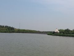 -西青郊野公园