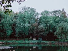 -东湖落雁景区