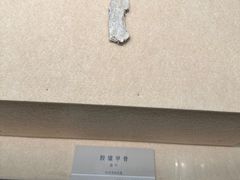 -镇江博物馆