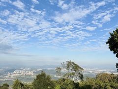 -黄埔油麻山森林公园