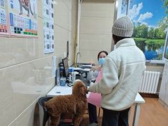 -北京观赏动物医院·24小时大型综合·猫专科·异宠专科