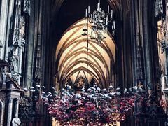 -斯蒂芬主教座堂(Stephansdom)