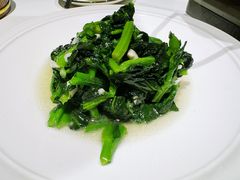 -阿露佳·舌尖上的安吉菜