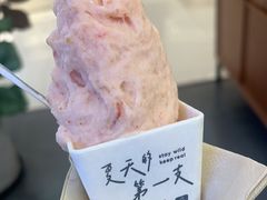 山楂冰淇淋-野人先生Gelato(上海长宁龙之梦店)
