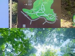 -上海佘山国家森林公园天马山园