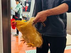 -生态苑农庄(十里画廊遇龙河店)