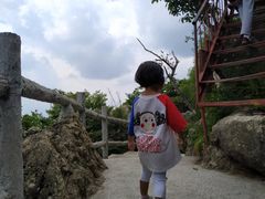 -王顺山国家森林公园