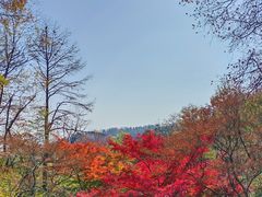 -莫干山风景区