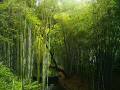 -广东温泉宾馆