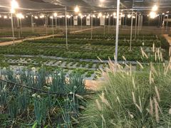 景观位-Ohkajhu Organic Farm Sansai