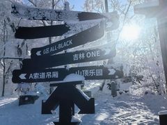 -中旅松花湖滑雪场
