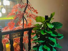 -金狮麟·新豫菜(杏石口路店)