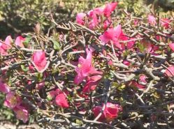 -5KM舞蹈街舞工作室