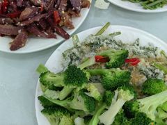 -杨记拉面总店