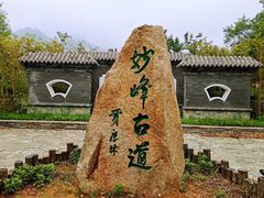 -阳台山自然风景区