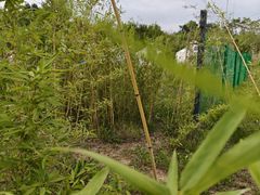 -西部长青自然儿童乐园